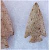 Image 2 : Paleo & Archaic Ohio Collection