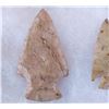 Image 3 : Paleo & Archaic Ohio Collection