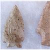 Image 4 : Paleo & Archaic Ohio Collection