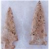 Image 6 : Paleo & Archaic Ohio Collection