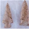Image 7 : Paleo & Archaic Ohio Collection