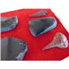 Image 8 : Pre-Columbian Artifact Collection