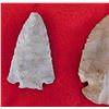 Image 10 : Ohio Flint Ridge Collection