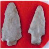 Image 2 : Ohio Flint Ridge Collection