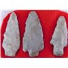 Image 3 : Ohio Flint Ridge Collection
