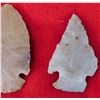 Image 8 : Ohio Flint Ridge Collection
