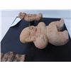 Image 8 : Pre-Columbian Clay Figures