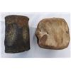 Image 3 : Fossil Collection