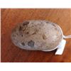 Image 10 : Pelican Stone
