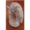 Image 2 : Pelican Stone