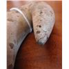 Image 8 : Pelican Stone