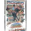 Image 5 : Group of 12 Rodeo Posters