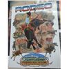 Image 6 : Group of 12 Rodeo Posters