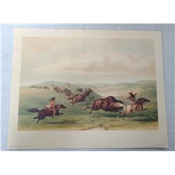 Catlin Lithograph