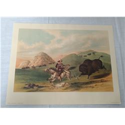 Catlin Lithograph