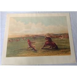 Catlin Lithograph