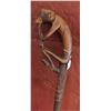 Image 8 : Baule Monkey Cane