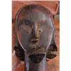 Image 2 : Fang Reliquary Head