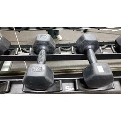 PAIR OF  DUMBBELLS - 12 LBS EA