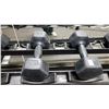 Image 1 : PAIR OF  DUMBBELLS - 12 LBS EA