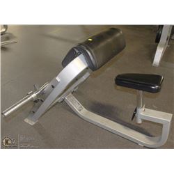 CURL BENCH 31"W X 36"H X 53"D