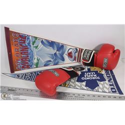 RING TO CAGE BOXING GLOVES WITH 2 HOCKEY