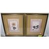 Image 1 : PAIR OF MATTED FLORAL PRINTS