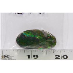 AMMOLITE CABACHON FREE FORM CUT GREEN FIRE