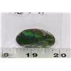 Image 1 : AMMOLITE CABACHON FREE FORM CUT GREEN FIRE