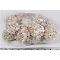 BAG OF SHELL DECORATIVE BALLS