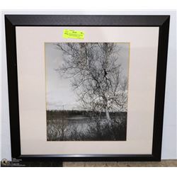 METAL PROFESSIONALLY FRAME NATURE PHOTOGRAPH 21”X2