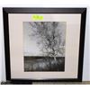Image 1 : METAL PROFESSIONALLY FRAME NATURE PHOTOGRAPH 21”X2