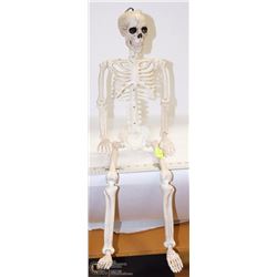 HALLOWEEN SKELETON