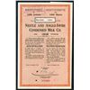 Image 1 : World War I Emergency Certificate. Nestle and Anglo-Swiss Condensed Milk Co. Specimen Shares. 1918