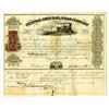 Image 1 : Central Ohio Rail Road Co. As Reorganized, 1867 Issued and Uncancelled Stock Certificate