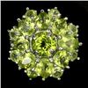 Image 1 : Natural Rich Green Peridot 29 Carats Ring