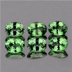 Natural AAA Ceylon Green Sapphire  2.46 Cts
