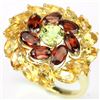 Image 1 : Natural Multi Gemstone Ring