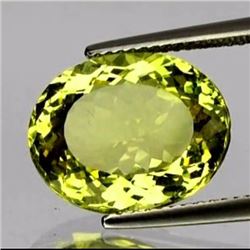 Natural Green Gold Lemon Quartz 14.50 MM - FL