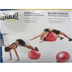 New Everlast fitness ball