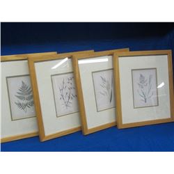 4 Framed prints/flower-leaf prints