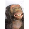 Image 2 : TWO TALKING MONKEY HEADS