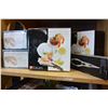 Image 1 : SHELF LOT OF NEW SEAFOOD DISHES WARMERS AND ACCESSORIES