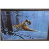 Image 2 : SIBERIAN MAJESTY TIGER BY ROD TRIBIGER 24564
