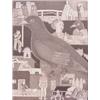 Image 1 : Marc Baseman (20th Century) American, BIRD, 1999, detailed miniature graphite drawing on card,...