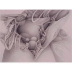 Hayakawa, UNTITLED, 1999, drawing on paper, 30 x 40", signed and dated, framed, stains on mat....