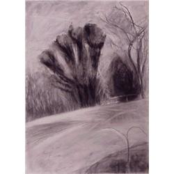 Jeanne La Mosse (20th Century), UNTITLED #2, 1990, charcoal drawing on paper, 42 x 30", signed...