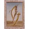 Image 1 : Suarez (20th Century), FEMALE POD AND MUSHROOM, oil painting on board, 19 x 12 1/2", signed low...