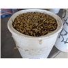 Image 2 : EMPTY SHELLS 55 DRUM