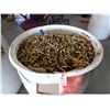 Image 1 : EMPTY SHELLS 55 DRUM